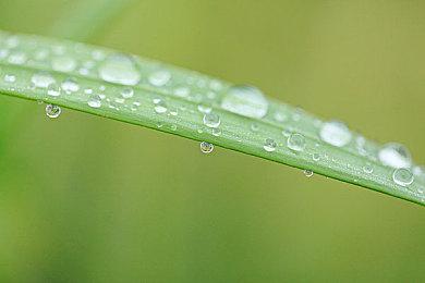 复古JRPG游戏《八爪的秘密》现已在Steam平台推出试玩Demo